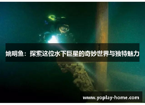 姚明鱼：探索这位水下巨星的奇妙世界与独特魅力