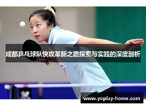 成都乒乓球队快攻革新之路探索与实践的深度剖析