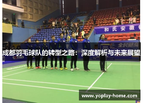 成都羽毛球队的转型之路：深度解析与未来展望