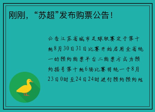 刚刚，“苏超”发布购票公告！